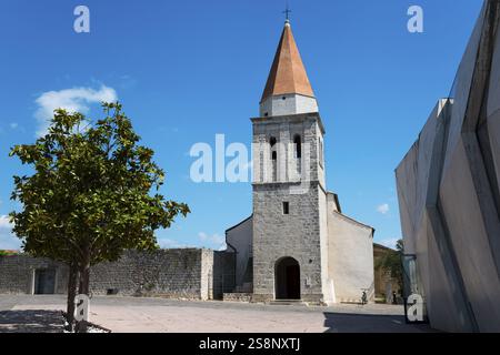 Kirche mit hohem Glockenturm und Baum in einem gepflasterten Innenhof, Kirche unserer Lieben Frau von Gesundheit, Altstadt, Stadt Krk, Insel Krk, Bucht von Kvarner Golf, Primor Stockfoto