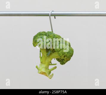 Gemüse voller Fleisch Stockfoto