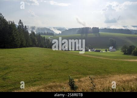 Ein Bild einer nebeligen Landschaft mit Bäumen Schwarzwaldgebiet deutschland Stockfoto