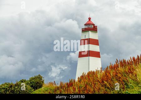 Ein markanter rot-weißer Leuchtturm erhebt sich über grünen Hügeln und bildet einen dramatischen Kontrast zu den sich abzeichnenden grauen Wolken über Norwegens Küste. Stockfoto