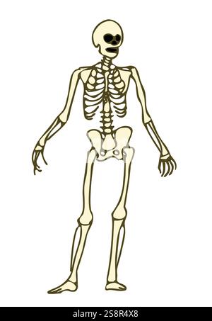 Eine Illustration eines Skelett-Doodle-Cliparts Stockfoto