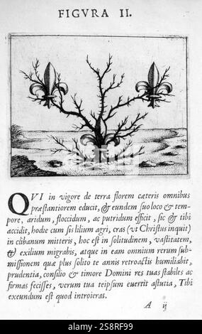 Die Vorhersagen (Prophecies) von Paracelsus, sind sehr kryptisch, mit allegorischen Symbole gefüllt und in der Lage, für beliebige Zwecke umgedeutet wird. geboren Philippus Aureolus Theophrastus Bombastus von Hohenheim, war ein Schweizer deutsche Philosoph, Arzt, Botaniker, Astrologin. "Eine Blume Wachstum in die Höhe bestimmt. Er wird Sie auch zu wachsen lässt Sie zu verblassen. Dies geschieht Dir, für Magic hat damit Dir geschmückt, auf daß dein wieder bekannt sein sollte, und auch, wie Du hat Beth-aven Stockfoto