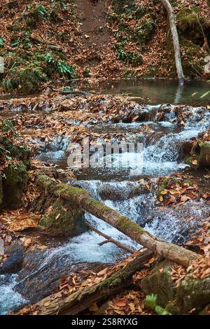 Der herbstliche Wasserfall in Armenien ist von einem Wald umgeben Stockfoto