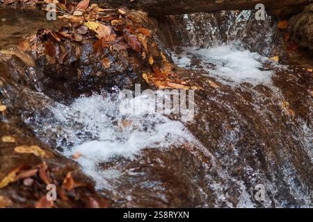 Der herbstliche Wasserfall in Armenien ist von einem Wald umgeben Stockfoto