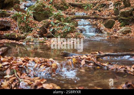 Der herbstliche Wasserfall in Armenien ist von einem Wald umgeben Stockfoto