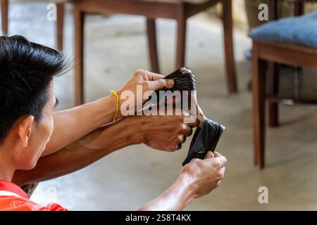 Bangkok, thailand - 25. Dezember 2024: Eine Anakonda in einer thailändischen Schlangenshow Stockfoto