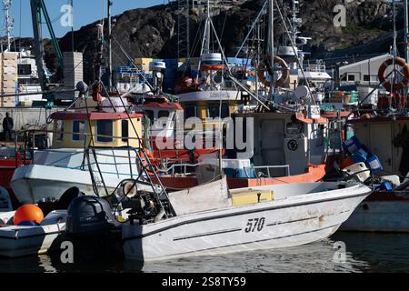 In Ilulissat, Grönland, liegen farbenfrohe Fischerboote vor Anker, die im sonnigen Sommerlicht eine lebhafte Hafenlandschaft bieten. Stockfoto