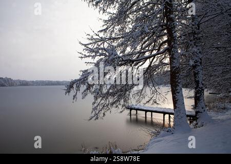 Die Schönheit eines Wintertages zeigt sich in diesem Bild des Bernardiner Sees in Trakai, Litauen. Die Sonne scheint hell über dem Kopf und wirft einen warmen Glo Stockfoto
