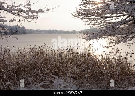 Die Schönheit eines Wintertages zeigt sich in diesem Bild des Bernardiner Sees in Trakai, Litauen. Die Sonne scheint hell über dem Kopf und wirft einen warmen Glo Stockfoto