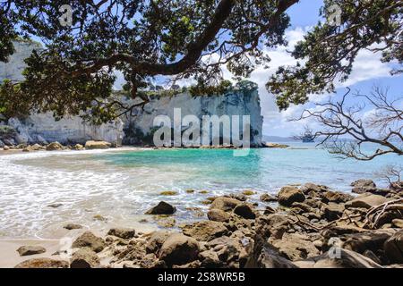 Stingray Bay Strand und Felsformationen Landschaft, Cathedral Cove Walk Naturwandern, Hahei, Coromandel Peninsula, Waikato, Neuseeland, NZ Stockfoto