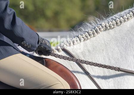 Details der Hände, die Pferdezügel beim Jugendspringen halten Stockfoto