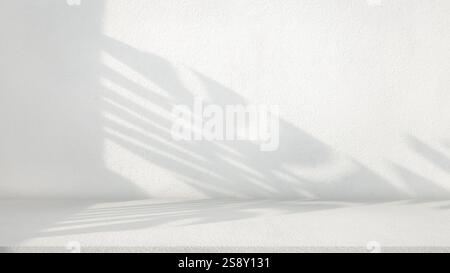 Hintergrund der Natur Zementtextur mit Schatten Palmenblättern, gut Display Produkt und Text auf freiem Raum, Luxus Hintergrund, leerer grauer Zement W Stockfoto