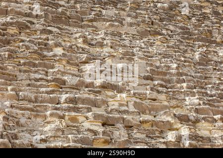 Weißer Hund, der auf Sandsteinen der Cheoppyramide in gizeh steht. Ägypten Stockfoto