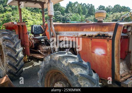 Ein alter, rostiger Massey Ferguson-Traktor Stockfoto