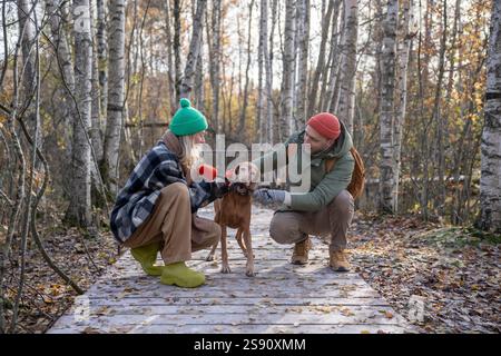 Glückliche, interessierte Familienpaare spielen zusammen mit Haustieren auf einem Waldweg Stockfoto