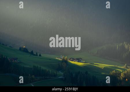 Nebeliger Morgen in den Alpen: Ruhige Landschaftsaufnahme Stockfoto
