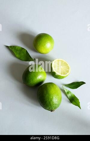 Gruppe frischer Limettenfrüchte mit Blättern isoliert auf grauem hellem Hintergrund. Gesundes Lebensmittelkonzept. Kopierbereich. Direkt darüber. Stockfoto