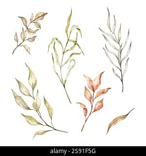 Herbstzweige mit gelben und orangen Blättern auf isoliertem Hintergrund. Aquarellzeichnung von getrockneten Blättern, gebleichtem Gras für Erntefest Stockfoto