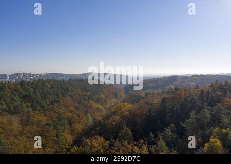 Gdynia, Witomino. Wald, Herbst. Drohnenfotografie Stockfoto
