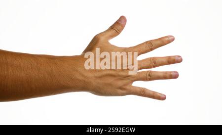 Die Hand des Mannes mit ausgestreckten Fingern über einer isolierten weißen Hintergrundwand mit sauberer und klarer Hautstruktur Stockfoto