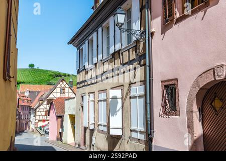 Straße und Weinberg, Ribeauvillé (Rappoltsweiler/Ràppschwihr), Elsass, Frankreich Stockfoto