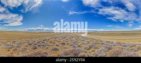 Panoramablick auf eine Straße, die durch die riesige argentinische Steppe in Patagonien führt, mit goldenem Licht während des Tages Stockfoto