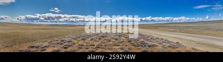 Panoramablick auf eine Straße, die durch die riesige argentinische Steppe in Patagonien führt, mit goldenem Licht während des Tages Stockfoto