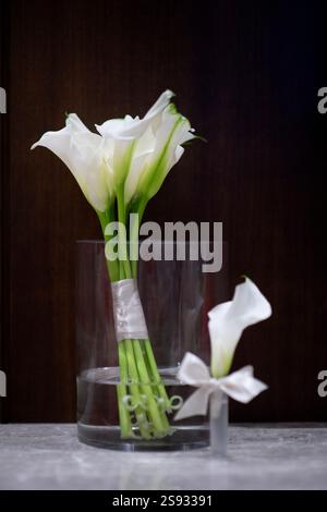 Weiße Calla-Lilie auf einer Glasvase Stockfoto