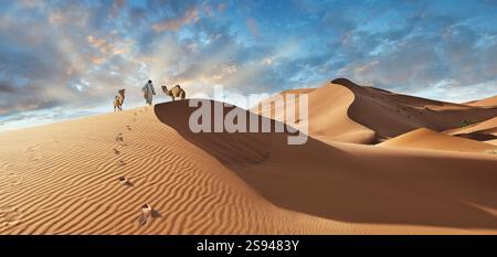 Mann spaziert in den wunderschönen Erg Chebbi Saharah Sanddünen, Sahara, Marokko bei Sonnenaufgang Panoramablick Landschaft Stockfoto