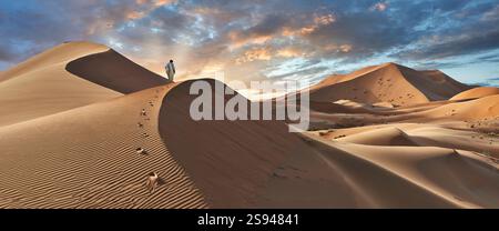 Mann spaziert in den wunderschönen Erg Chebbi Saharah Sanddünen, Sahara, Marokko bei Sonnenaufgang Panoramablick Landschaft Stockfoto
