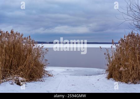 Winterlandschaft mit einem gefrorenen See, Schnee- und eisbedecktem Ufer, trockenem Schilf am Ufer und bewölktem Himmel. Eine ruhige und atmosphärische Naturszene. Stockfoto
