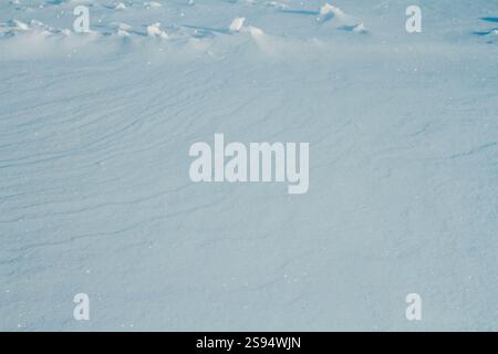 Fantastische Winterlandschaft. Gefrorenes Gras im Schnee. Winter Natur in den Strahlen des Sonnenuntergangs. Stockfoto