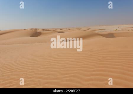 Spektakuläres Panorama der goldenen Dünen am Horizont im vordergründigen, hügeligen Wüstensand. Oman. Stockfoto