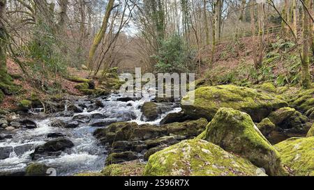 Die Birks of Aberfeldy Famous Walk entlang Moness Burn, wo Robert Burns 1787 sein schottisches Liebeslied schrieb. Touristenziel und natürliche Lage Stockfoto