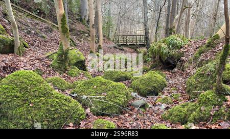 Die Birks of Aberfeldy Famous Walk entlang Moness Burn, wo Robert Burns 1787 sein schottisches Liebeslied schrieb. Touristenziel und natürliche Lage Stockfoto