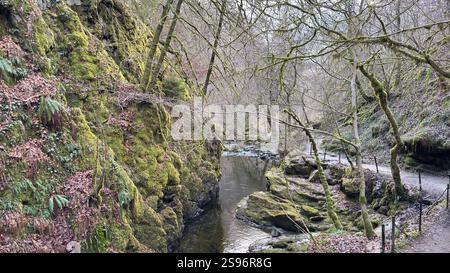 Die Birks of Aberfeldy Famous Walk entlang Moness Burn, wo Robert Burns 1787 sein schottisches Liebeslied schrieb. Touristenziel und natürliche Lage Stockfoto