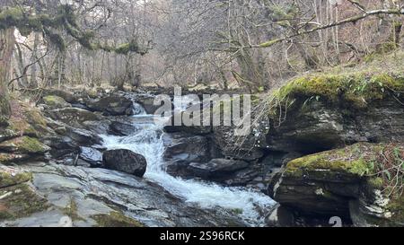 Die Birks of Aberfeldy Famous Walk entlang Moness Burn, wo Robert Burns 1787 sein schottisches Liebeslied schrieb. Touristenziel und natürliche Lage Stockfoto