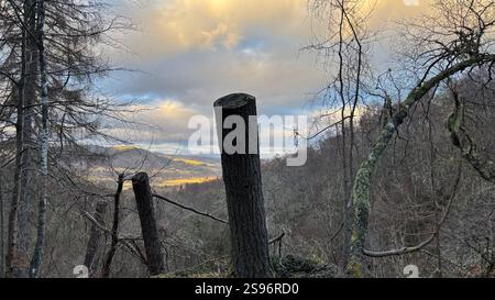 Blick auf den Sonnenuntergang über Perthshire in Schottland beim berühmten Birks of Aberfeldy Walk entlang des Moness Burn. Wasserfall und alte Bäume. Moos bedeckt Stockfoto