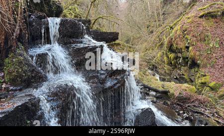 Die Birks of Aberfeldy Famous Walk entlang Moness Burn, wo Robert Burns 1787 sein schottisches Liebeslied schrieb. Touristenziel und natürliche Lage Stockfoto