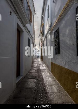 Enge Straße mit weiß getünchten Häusern im jüdischen Viertel Juderia auf Cordoba Spanien Stockfoto