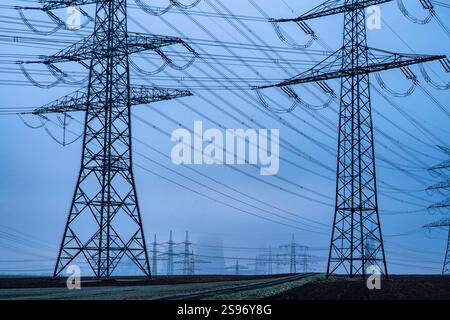 Große Stromtrasse, 380 KV Höchstspannungsleitungen, bei Rommerskirchen, RWE Braunkohlekraftwerk Niederaußem im Nebel, NRW, Deutschland, Hochspannungsleitungen *** große Stromleitung, 380 KV Hochspannungsleitungen, bei Rommerskirchen, RWE Braunkohlekraftwerk Niederaußem im Nebel, NRW, Deutschland, Hochspannungsleitungen Stockfoto