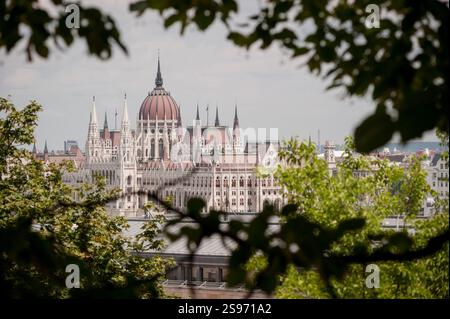 Historisches Gebäude mit gotischer Architektur durch grüne Blätter - Országház, parlamentsgebäude in Budapest Ungarn. Stockfoto