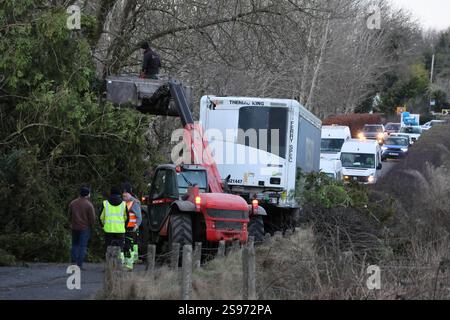 Männer arbeiten daran, eine Straße zwischen Lisburn und Ballynahinch zu räumen, die nach Storm Eowyn blockiert ist Stockfoto