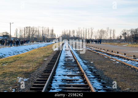 (250125) -- OSWIECIM, 25. Januar 2025 (Xinhua) -- dieses Foto vom 24. Januar 2025 zeigt einen Blick auf das Konzentrationslager Auschwitz in Oswiecim, Polen. Der 80. Jahrestag der Befreiung des Konzentrationslagers Auschwitz fällt am 27. Januar 2025. Das Vernichtungslager des Zweiten Weltkriegs wurde 1940 von den Nazis gegründet. Schätzungen zufolge sind im Lager mindestens 1,1 Millionen Menschen ums Leben gekommen. Das Konzentrationslager wurde am 27. Januar 1945 von der sowjetischen Armee befreit, einem Tag, der zum Internationalen Holocaust-Gedenktag wurde. (Xinhua/Zhang Kun) Stockfoto