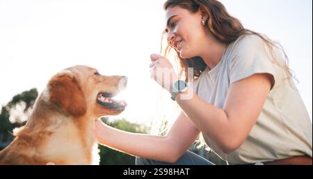 Spielen, Training und Frau mit Hund im Freien für die Verbindung mit der Tieradoption zu Hause. Glückliche Begleiterin und weibliche Person mit Hündchen zum Spaß Stockfoto
