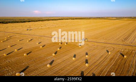 Bei zwei Traktoren, die beim Ziehen der Rundballenpresse das Stroh aufrollen und einen gepackten Rundballen über landwirtschaftlich gefallenen Ballenpressen ausspucken Stockfoto