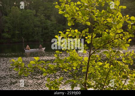 Fischer auf einem See, umgeben von Wald Stockfoto