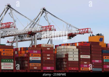 Eine Nahaufnahme des Daches eines großen Frachtschiffes, das in einem britischen Hafen angedockt ist und mit Frachtcontainern beladen wird, die von Kränen gestapelt werden Stockfoto