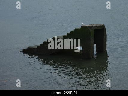 Mittelgroßer Schuss einer alten Ruine von Pier, mit Treppen aus dem Meer und einer Möwe, die auf ihnen thront Stockfoto
