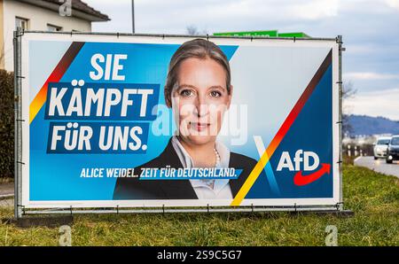 Albbruck, 12. Januar 2025: Das Wahlkampfplakat der Bundeskanzlerkandidatin Alice Weidel von der Alternative für Deutschland (AfD) für das Extrao Stockfoto